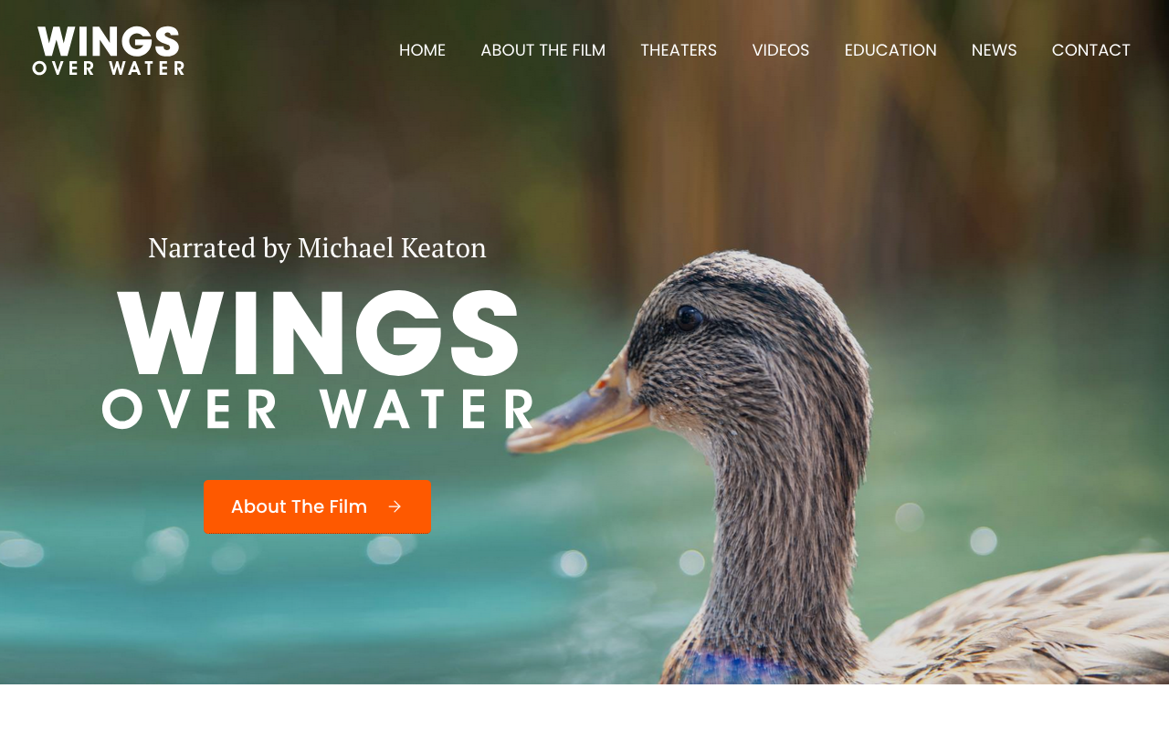 Wings Over Water